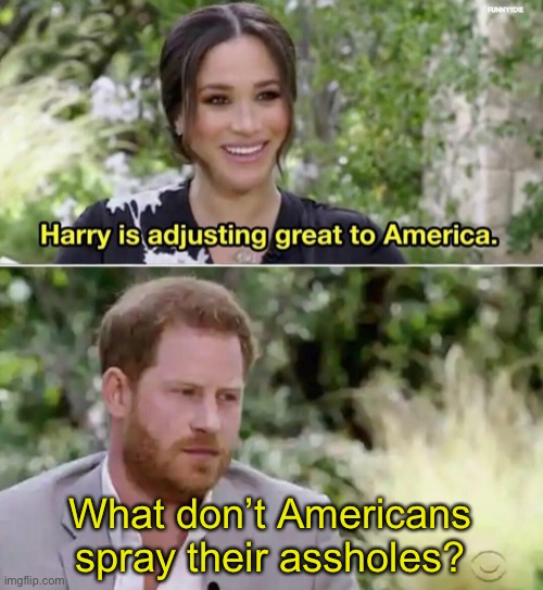 Harry is adjusting great to America. | What don’t Americans spray their assholes? | image tagged in harry is adjusting great to america,memes | made w/ Imgflip meme maker