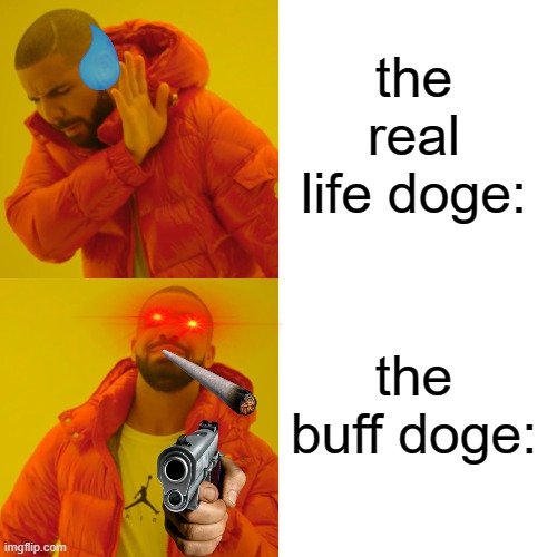 the buff doge: the real life doge: | image tagged in memes,drake hotline bling | made w/ Imgflip meme maker