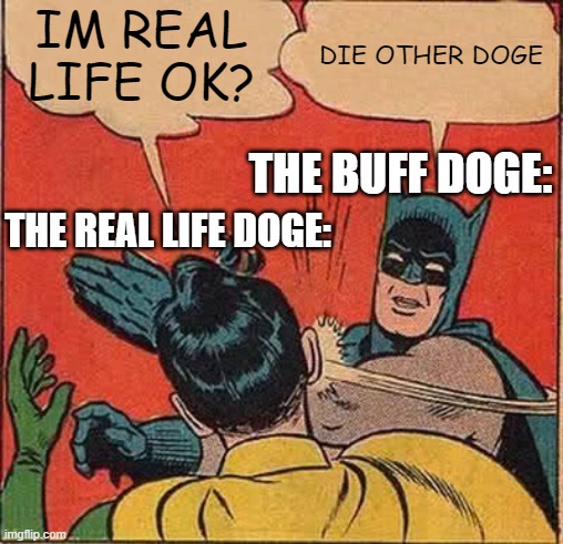 IM REAL LIFE OK? DIE OTHER DOGE THE REAL LIFE DOGE: THE BUFF DOGE: | image tagged in memes,batman slapping robin | made w/ Imgflip meme maker