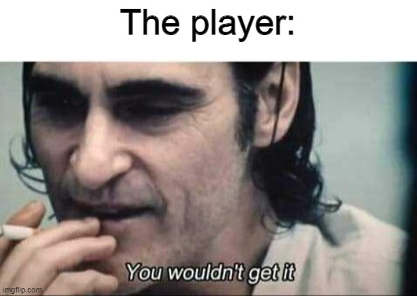 You wouldn't get it | The player: | image tagged in you wouldn't get it | made w/ Imgflip meme maker