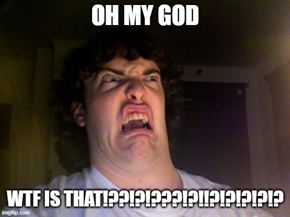 WTF | OH MY GOD; WTF IS THAT!??!?!???!?!!?!?!?!?!? | image tagged in memes,oh no | made w/ Imgflip meme maker