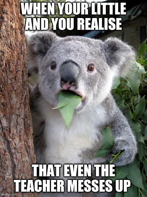 Surprised Koala Meme | WHEN YOUR LITTLE AND YOU REALISE; THAT EVEN THE TEACHER MESSES UP | image tagged in memes,surprised koala | made w/ Imgflip meme maker