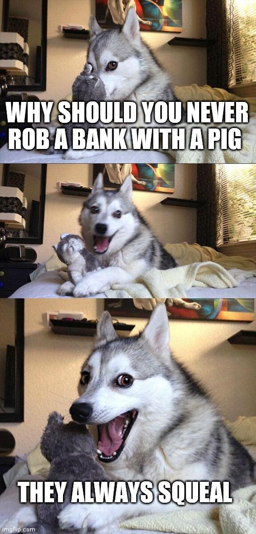 Bad Pun Dog Meme | WHY SHOULD YOU NEVER ROB A BANK WITH A PIG; THEY ALWAYS SQUEAL | image tagged in memes,bad pun dog | made w/ Imgflip meme maker