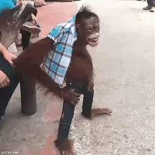 Getting tired on the first day of the job be like: | made w/ Imgflip meme maker