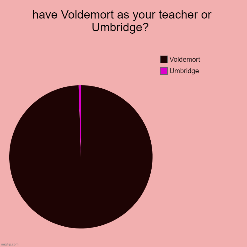 everyone hates Umbridge | have Voldemort as your teacher or Umbridge?  | Umbridge , Voldemort | image tagged in charts,pie charts | made w/ Imgflip chart maker