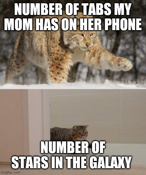 Big and smol cat | NUMBER OF TABS MY MOM HAS ON HER PHONE; NUMBER OF STARS IN THE GALAXY | image tagged in big and smol cat | made w/ Imgflip meme maker