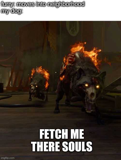 (hellhound noises intensify) | furry: moves into neighborhood
my dog:; FETCH ME THERE SOULS | image tagged in olympia gang | made w/ Imgflip meme maker