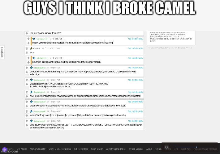 (joke) | GUYS I THINK I BROKE CAMEL | image tagged in funny | made w/ Imgflip meme maker