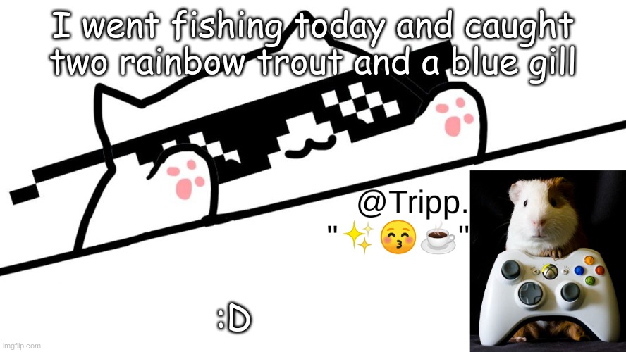 and I have a lobster to cook ? | I went fishing today and caught two rainbow trout and a bluegill; :D | image tagged in tripp 's very awesome temp d,gone fishing,taste the rainbow,blue | made w/ Imgflip meme maker