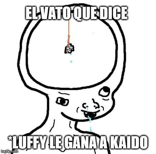Dumb wojak | EL VATO QUE DICE; *LUFFY LE GANA A KAIDO | image tagged in dumb wojak,one piece | made w/ Imgflip meme maker
