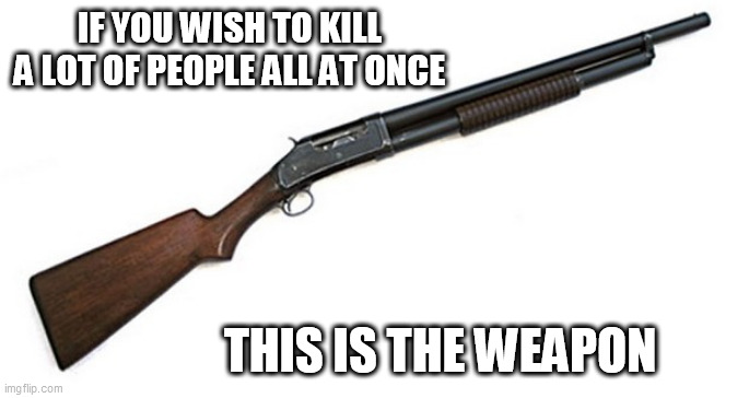 shotgun | IF YOU WISH TO KILL A LOT OF PEOPLE ALL AT ONCE; THIS IS THE WEAPON | image tagged in shotgun | made w/ Imgflip meme maker