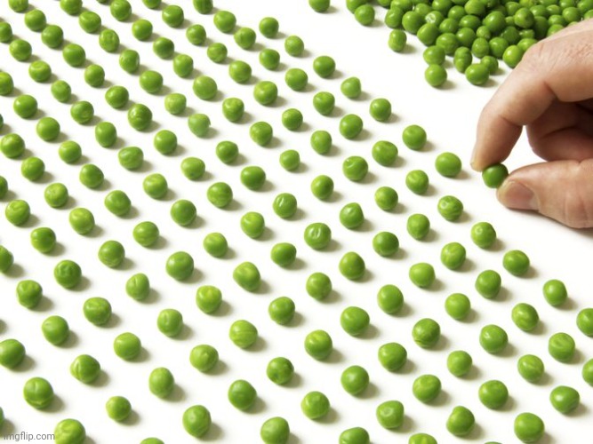 OCD aligning peas | image tagged in ocd aligning peas | made w/ Imgflip meme maker