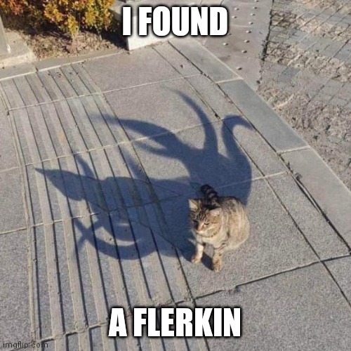 Flerkin |  I FOUND; A FLERKIN | image tagged in cats,cat,captain marvel,funny cats,funny cat memes,brimmuthafukinstone | made w/ Imgflip meme maker