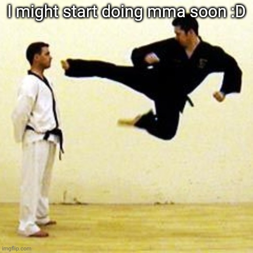 Then I'm coming for both Logans | I might start doing mma soon :D | image tagged in kick | made w/ Imgflip meme maker