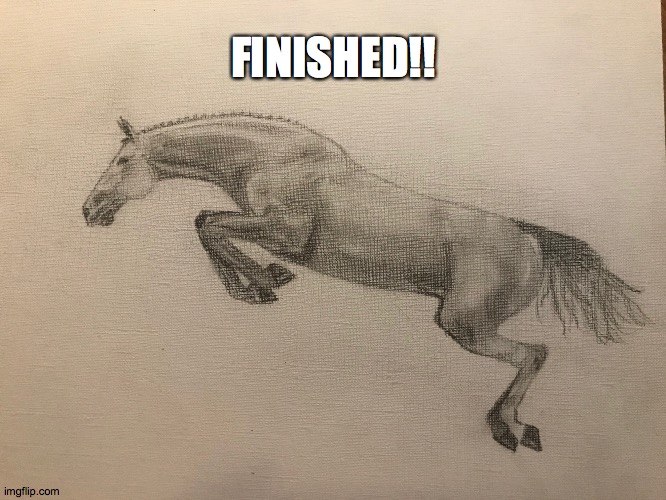 That felt good XD | FINISHED!! | image tagged in horse,finished | made w/ Imgflip meme maker
