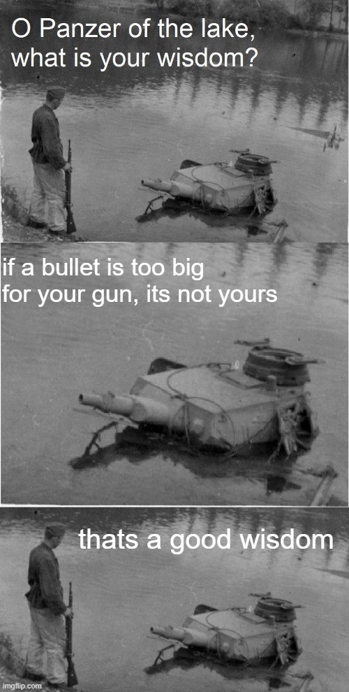 from his mighty wisdom shell |  if a bullet is too big for your gun, its not yours; thats a good wisdom | image tagged in o panzer of the lake,panzer of the lake,memes,bullet | made w/ Imgflip meme maker