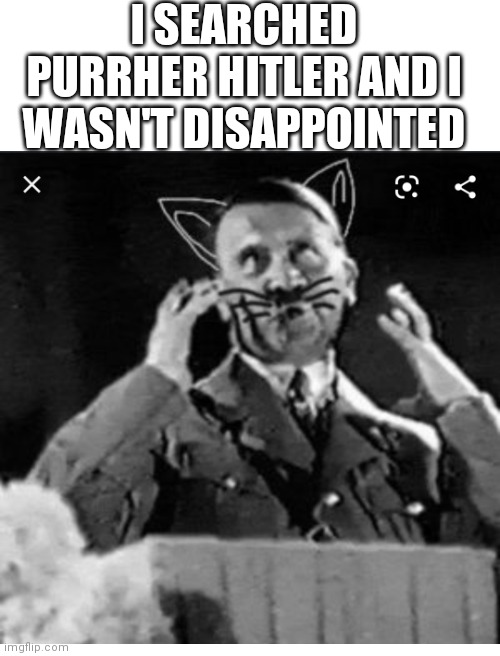 Hail Purrher Hitler | I SEARCHED PURRHER HITLER AND I WASN'T DISAPPOINTED | image tagged in blank white template,hitler,cat,oh wow are you actually reading these tags,nice,stop reading the tags | made w/ Imgflip meme maker