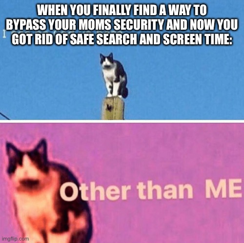 It means more horny pictures basically | WHEN YOU FINALLY FIND A WAY TO BYPASS YOUR MOMS SECURITY AND NOW YOU GOT RID OF SAFE SEARCH AND SCREEN TIME: | image tagged in hail pole cat | made w/ Imgflip meme maker