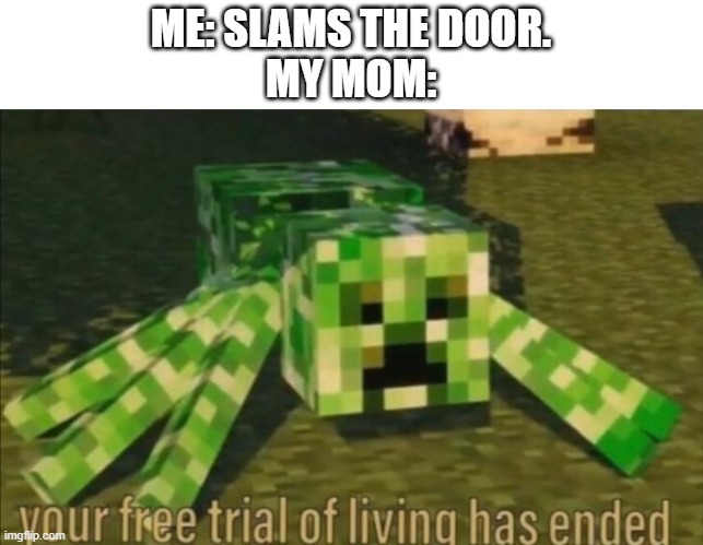 Your free trial of living has ended | ME: SLAMS THE DOOR.
MY MOM: | image tagged in your free trial of living has ended,memes,minecraft,minecraft creeper | made w/ Imgflip meme maker