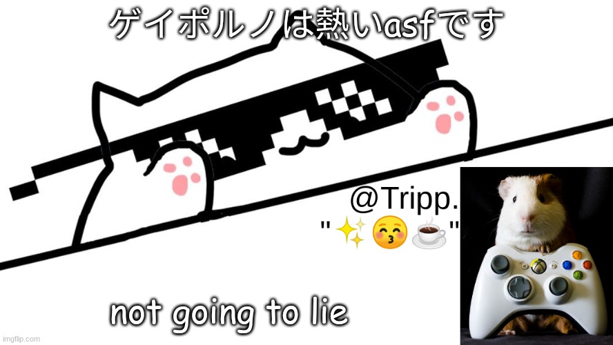 please don't google translate that- | ゲイポルノは熱いasfです; not going to lie | image tagged in tripp 's very awesome temp d | made w/ Imgflip meme maker