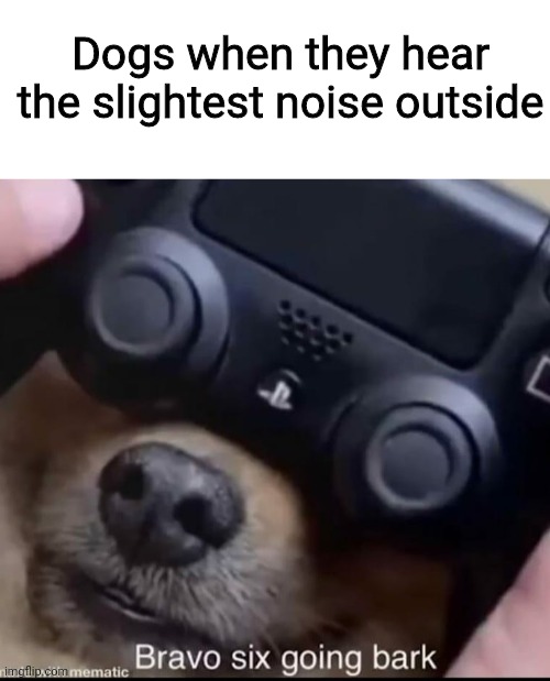 Dogs when they hear the slightest noise outside | image tagged in blank white template,dogs,ps4,doggo,not really a gif,memes | made w/ Imgflip meme maker