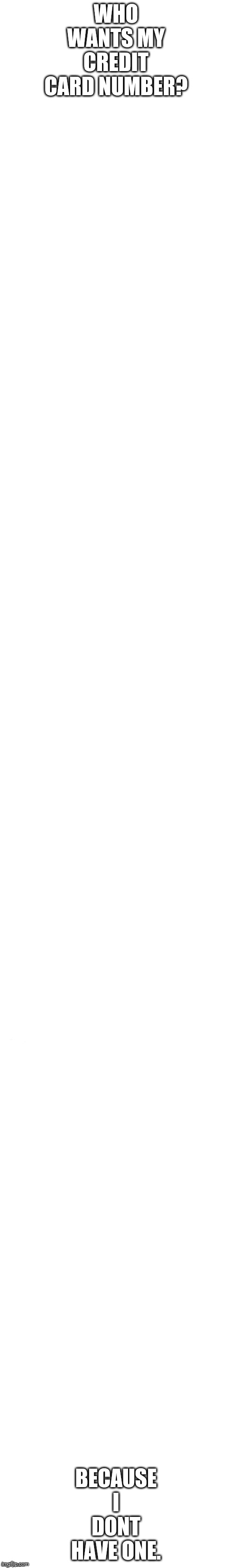 long white template | WHO WANTS MY CREDIT CARD NUMBER? BECAUSE I DONT HAVE ONE. | image tagged in long white template | made w/ Imgflip meme maker