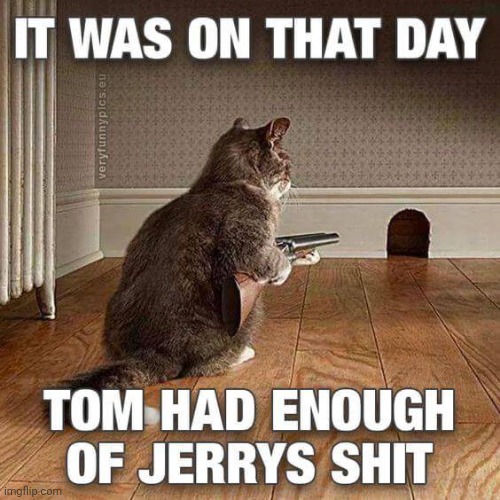 Tom has had enough of Jerry | image tagged in tom and jerry | made w/ Imgflip meme maker