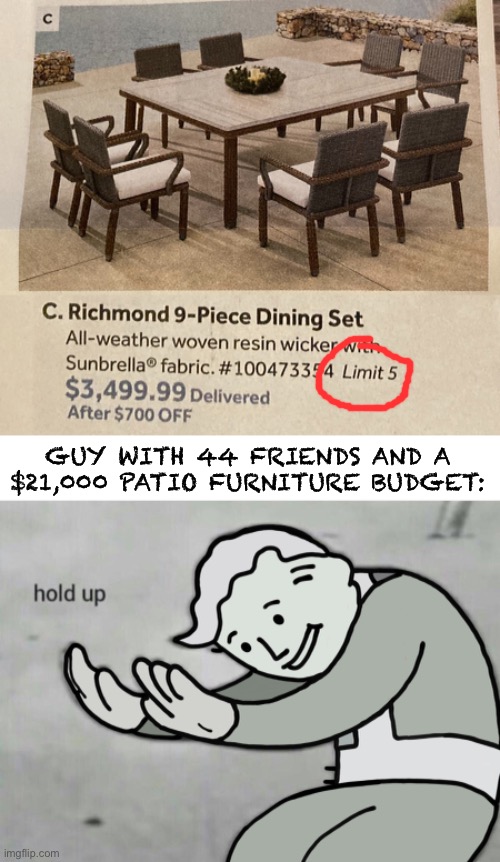 Who on earth would need 5? | GUY WITH 44 FRIENDS AND A $21,000 PATIO FURNITURE BUDGET: | image tagged in wait hold up,too many hot dogs,budget,one does not simply,buy,5 | made w/ Imgflip meme maker