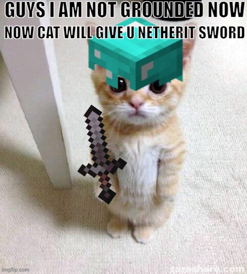 im now not grounded | GUYS I AM NOT GROUNDED NOW; NOW CAT WILL GIVE U NETHERIT SWORD | image tagged in cute cat | made w/ Imgflip meme maker