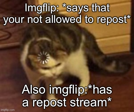 Loading cat | Imgflip: *says that your not allowed to repost*; Also imgflip:*has a repost stream* | image tagged in loading cat,imgflip,reposting | made w/ Imgflip meme maker