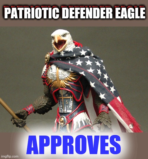 Patriotic Defender Eagle Of America | PATRIOTIC DEFENDER EAGLE APPROVES PATRIOTIC DEFENDER EAGLE | image tagged in patriotic defender eagle of america | made w/ Imgflip meme maker