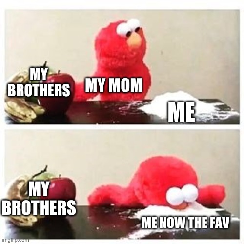 elmo cocaine | MY BROTHERS; MY MOM; ME; MY BROTHERS; ME NOW THE FAV | image tagged in elmo cocaine | made w/ Imgflip meme maker