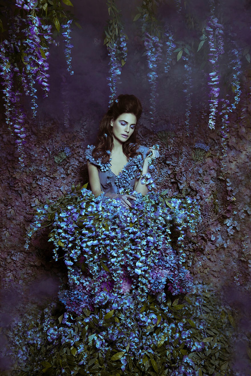 Wisteria Princess. Photo credit: Daniela Majic | image tagged in awesome,pics,photography | made w/ Imgflip meme maker
