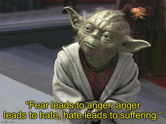 Fear leads to anger. Anger leads to hate. Hate leads to sufferin | “Fear leads to anger, anger leads to hate, hate leads to suffering.” | image tagged in fear leads to anger anger leads to hate hate leads to sufferin | made w/ Imgflip meme maker