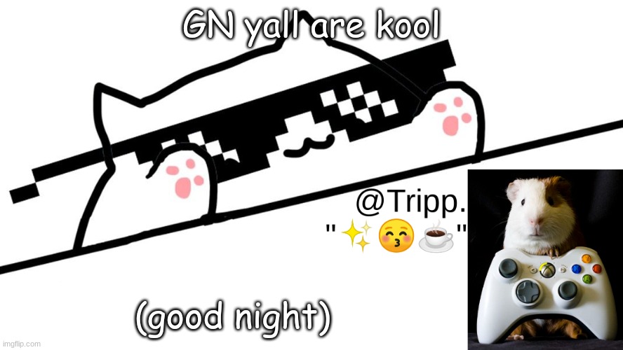 night! | GN yall are kool; (good night) | image tagged in tripp 's very awesome temp d | made w/ Imgflip meme maker