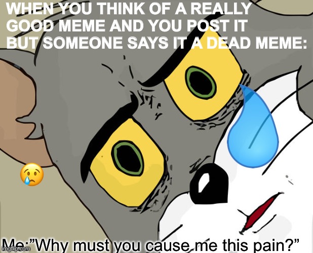 WHY?!?!?!?? | WHEN YOU THINK OF A REALLY GOOD MEME AND YOU POST IT BUT SOMEONE SAYS IT A DEAD MEME:; 😢; Me:”Why must you cause me this pain?” | image tagged in memes,unsettled tom | made w/ Imgflip meme maker