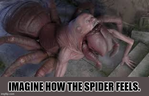 nightmare man spider | IMAGINE HOW THE SPIDER FEELS. | image tagged in nightmare man spider | made w/ Imgflip meme maker