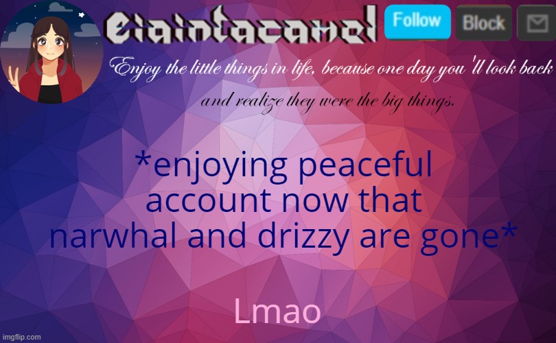 thats was c h a o s | *enjoying peaceful account now that narwhal and drizzy are gone*; Lmao | image tagged in iaintacamel | made w/ Imgflip meme maker