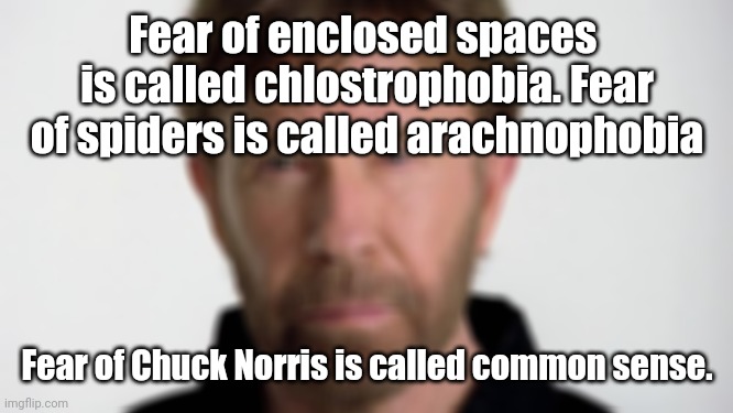 I originally made this on my brother account so don't say it's a repost | Fear of enclosed spaces 
is called chlostrophobia. Fear of spiders is called arachnophobia; Fear of Chuck Norris is called common sense. | image tagged in chuck norris | made w/ Imgflip meme maker