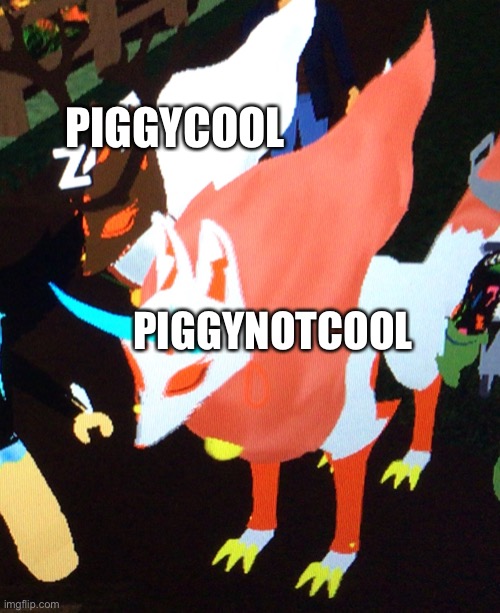 PIGGYCOOL PIGGYNOTCOOL | made w/ Imgflip meme maker