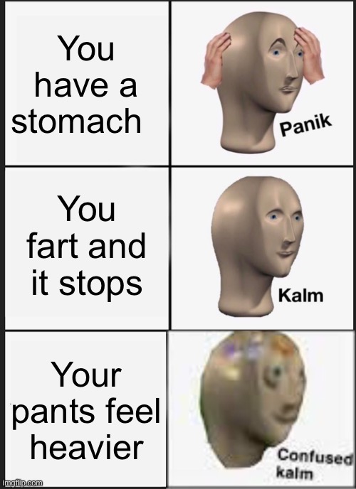 Panik Kalm Panik Meme | You have a stomach You fart and it stops Your pants feel heavier | image tagged in memes,panik kalm panik | made w/ Imgflip meme maker