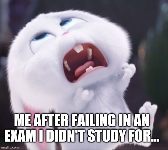 Snowball Rabbit | ME AFTER FAILING IN AN EXAM I DIDN'T STUDY FOR... | image tagged in snowball,education,exam | made w/ Imgflip meme maker