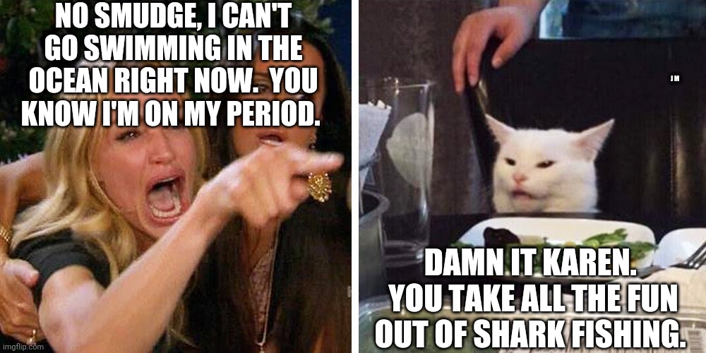Smudge the cat | NO SMUDGE, I CAN'T GO SWIMMING IN THE OCEAN RIGHT NOW.  YOU KNOW I'M ON MY PERIOD. J M; DAMN IT KAREN.  YOU TAKE ALL THE FUN OUT OF SHARK FISHING. | image tagged in smudge the cat | made w/ Imgflip meme maker