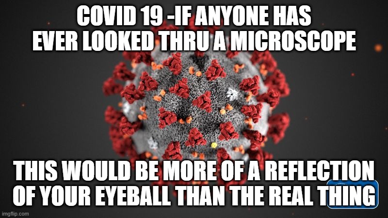 Covid 19 | COVID 19 -IF ANYONE HAS EVER LOOKED THRU A MICROSCOPE; THIS WOULD BE MORE OF A REFLECTION OF YOUR EYEBALL THAN THE REAL THING | image tagged in covid 19 | made w/ Imgflip meme maker
