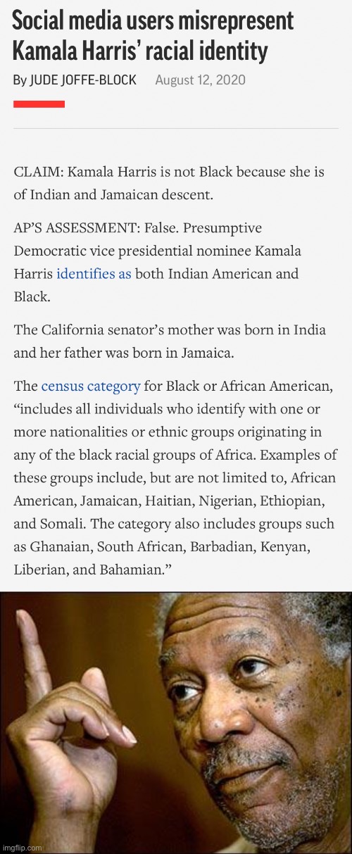 Kamala Harris is black. And she’s Indian. And she’s Jamaican. And she’s American. She’s all these things!! | image tagged in kamala harris race,this morgan freeman,kamala harris,racism,race,conservative logic | made w/ Imgflip meme maker