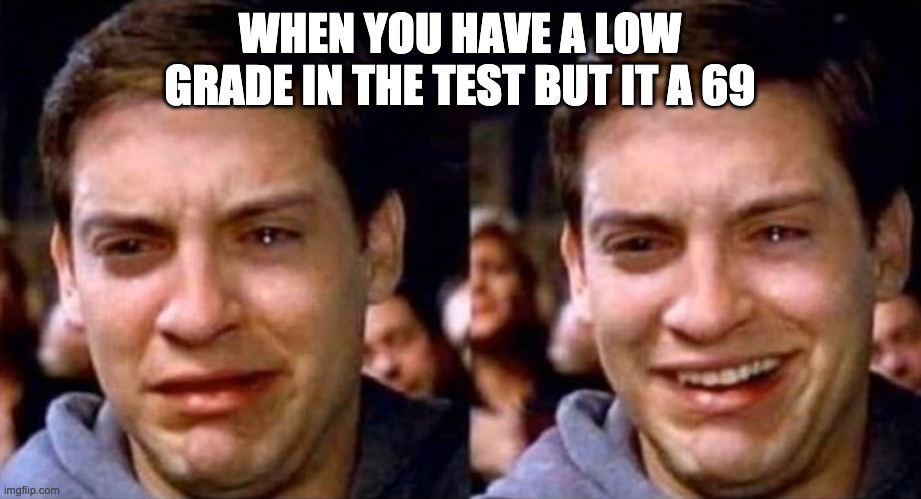 Peter Parker cry then smile | WHEN YOU HAVE A LOW GRADE IN THE TEST BUT IT A 69 | image tagged in peter parker cry then smile | made w/ Imgflip meme maker