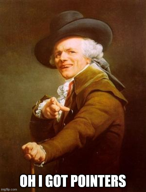 ye olde englishman | OH I GOT POINTERS | image tagged in ye olde englishman | made w/ Imgflip meme maker