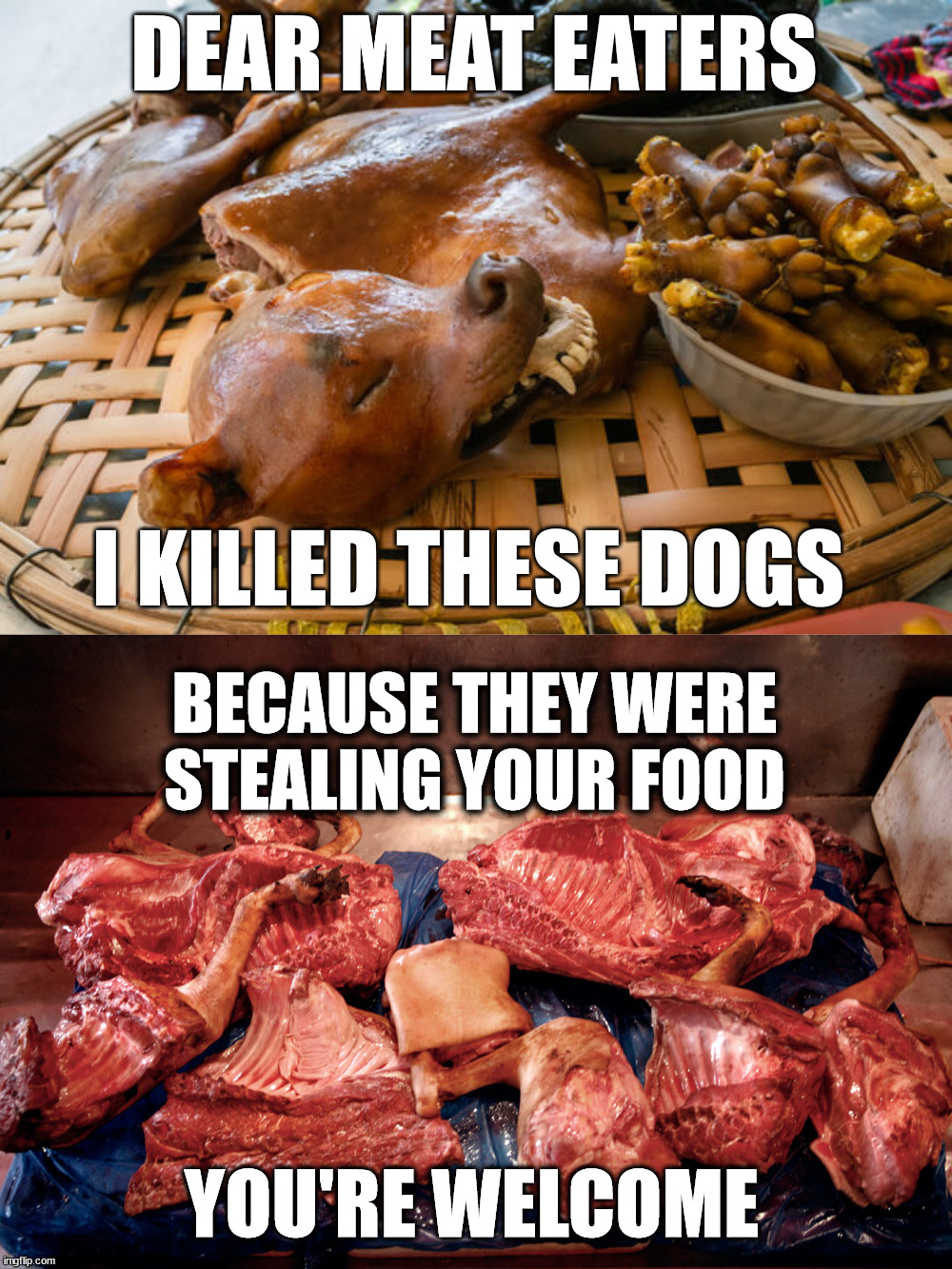 Meat is meat. | DEAR MEAT EATERS; I KILLED THESE DOGS; BECAUSE THEY WERE STEALING YOUR FOOD; YOU'RE WELCOME | image tagged in dogs,meat,food,animals,meal,yummy | made w/ Imgflip meme maker