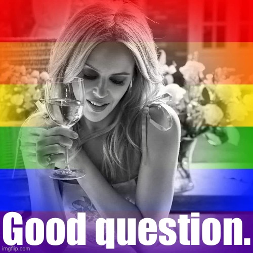 Kylie good question LGBTQ Blank Meme Template