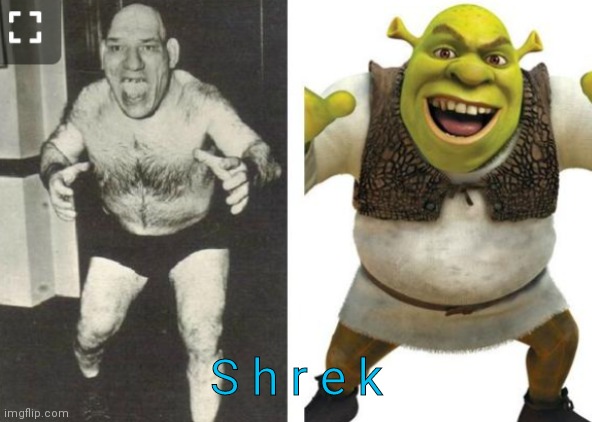 ITS SHREK | S h r e k | image tagged in fffffffuuuuuuuuuuuu | made w/ Imgflip meme maker